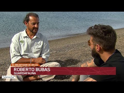 El encantador de orcas (Parte 1)