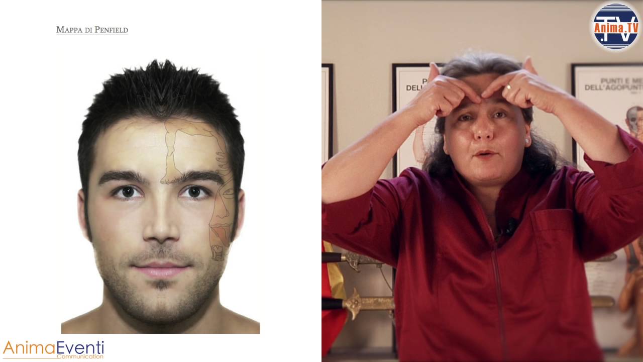 Beatrice Moricoli - A.I.R.F.I. - Riflessologia Facciale Dien Chan - Video 4: Penfield e Roden