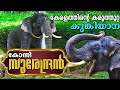 കില്ലാടിയാണ് സുരേന്ദ്രൻ | Konni Surendran Kumki Elephant Full Story | P T 7 Elephant captured
