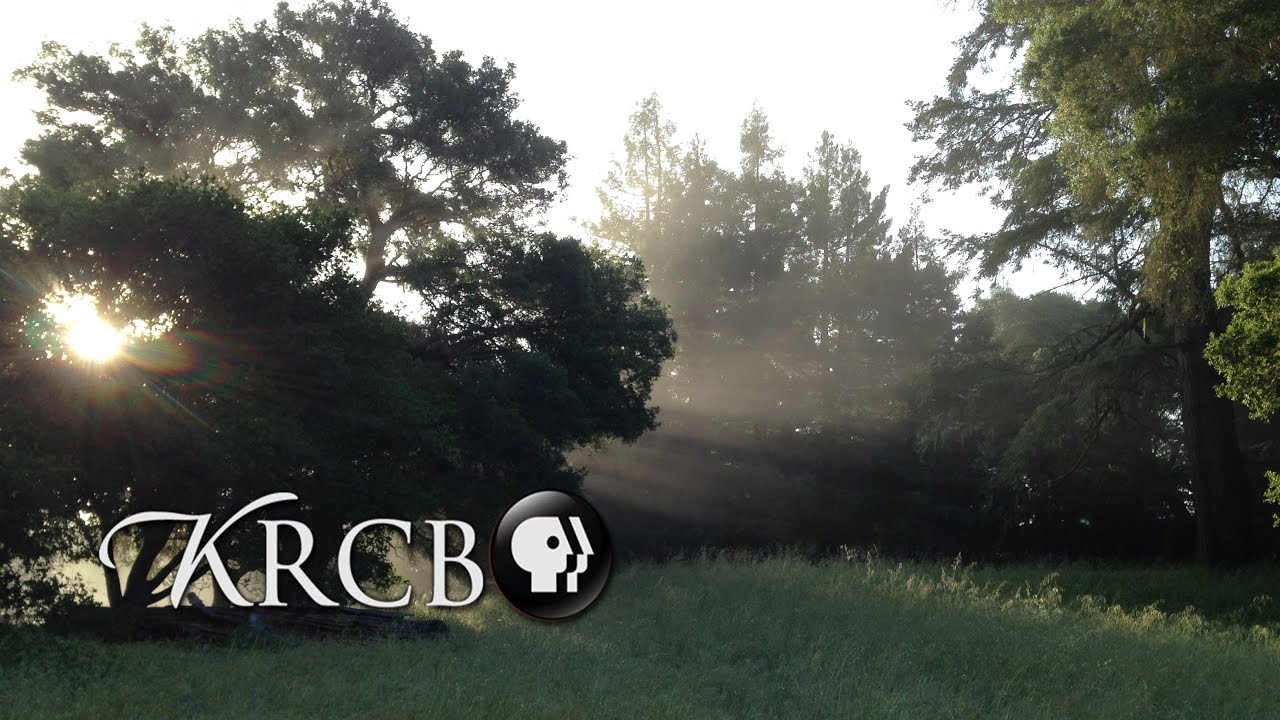 Bay Area Bountiful Land Preservation YouTube