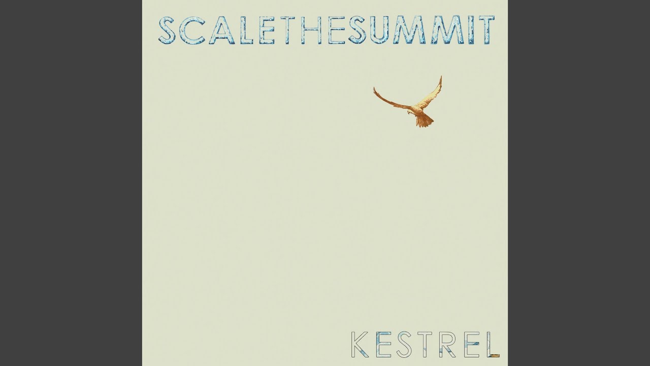 Scale the Summit - Kestrel acordes