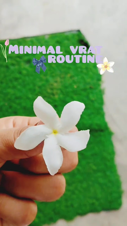 Slow Life, Fast Heart |  Vrat Day Vlog  #innerpeace #puja #minivlog