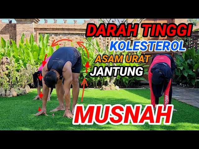 SENAM MENURUNKAN TEKANAN DARAH TINGGI - KOLESTEROL - ASAM URAT - JANTUNG DAN DARAH TIDAK LANCAR class=