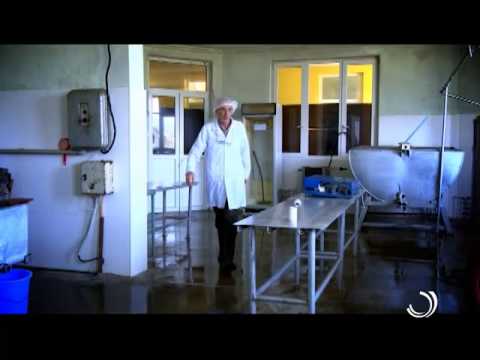 აგრორჩევები / ევროკავშირის ბაზრის სტანდარტები / 25 05 2015