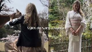 VLOG| Výlet do Nary a Kyota | Posvátní jelínci, sakury a kimono