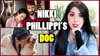 Nikki Phillippi Put Down Her Dog - Was he really aggressive? by Emzotic 103,317 views 2 years ago 41 minutes