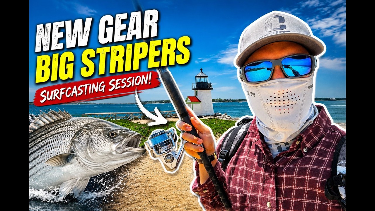 Nantucket Stripped Bass Fishing #surfcasting