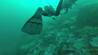 Buceo en La Lobera de Los Molles, Región de Valparaíso, Chile