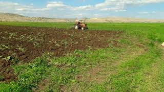 Kavun Yeri Hazırlığı.