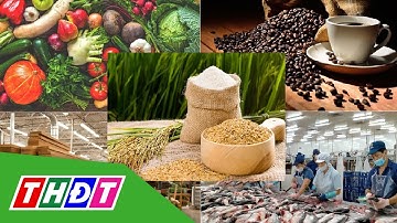 Xuất khẩu ngành nông nghiệp có thể vượt 60 tỷ USD | THDT