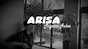 MUGAARA Aubea_ARISA_Visualizer_2025
