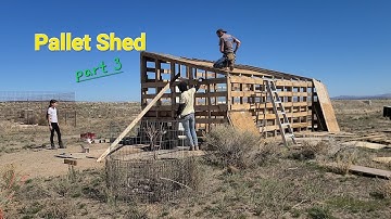 Pallet Shed Construction part 3 & The Old Camper