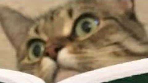 my part in nana by kirzok and more