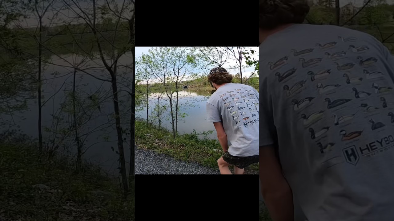 Sight fishing for bedding bass!! 