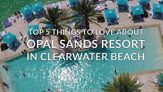 CLEARWATER BEACH OPAL SANDS RESORT - Top 5 Things to Love About One of the Best Hotels in Clearwater