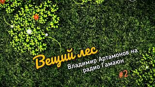 Вещий Лес.  Выпуск Второй, на радио Гамаюн.