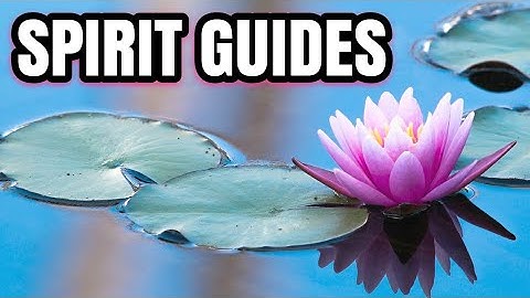 SPIRIT GUIDE MESSAGE FOR YOU! PICK-A-CARD TAROT READING 📚