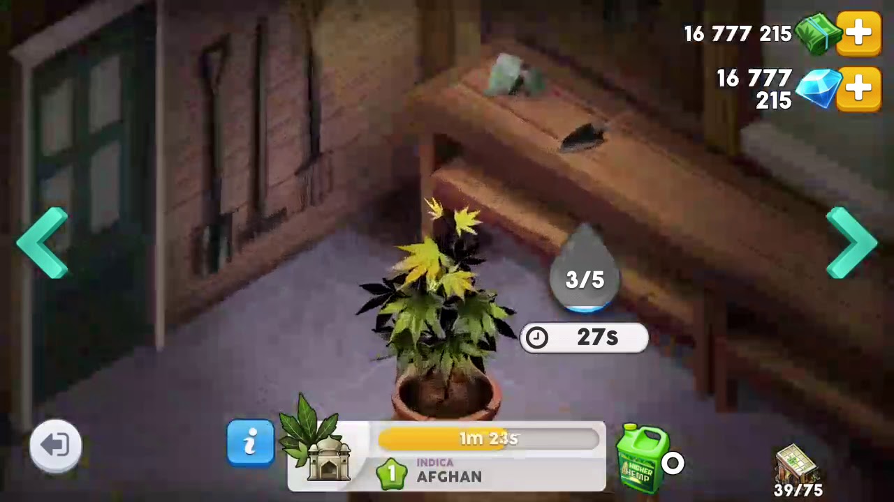 hack Hempire- jeu de culture de plant by la carotte - 