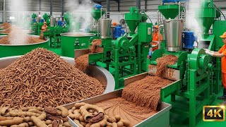 Tamarind Paste Production Process: Inside a High-Tech Food Factory | ASMR (4K)