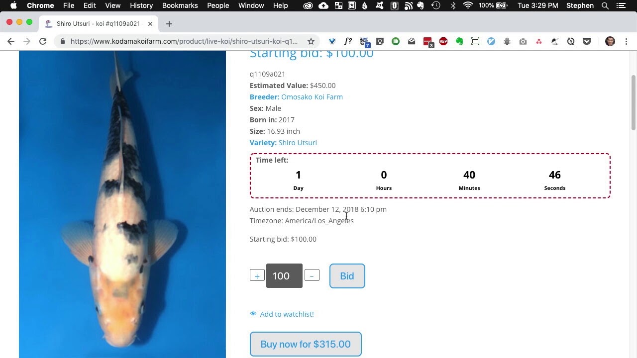 How to Win in Our Auction (Plus Video Walkthrough)