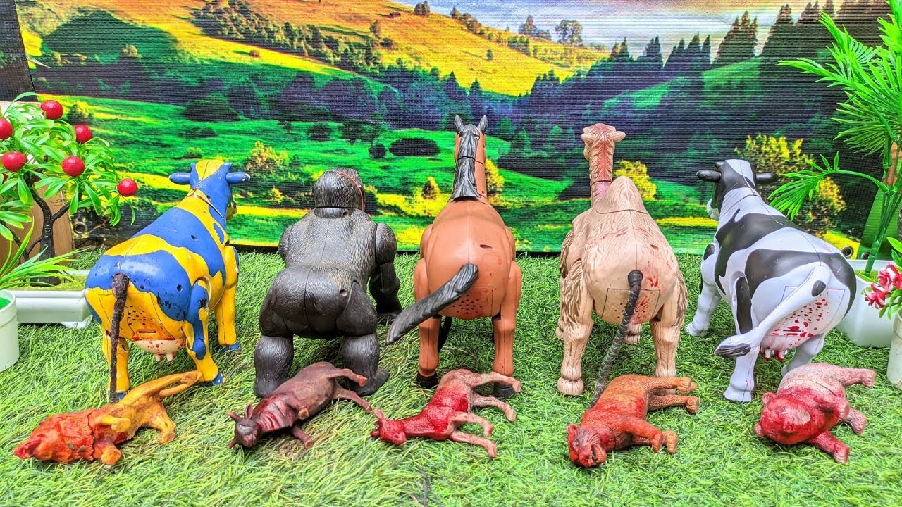 WADIDAU ‼️🐂‼️ WALKING COW PROSES SAPI COW MOO CARTOON VIDEO SAPILUCU 