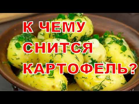 К Чему Снится Картофель? Толкование снов.