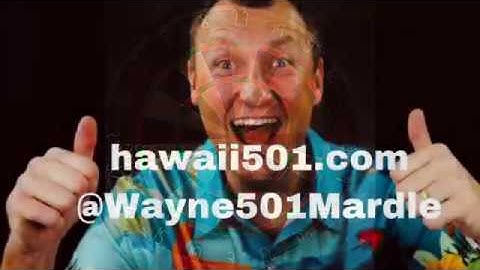 Wayne Mardle dartboard review of The Shot bandit duro