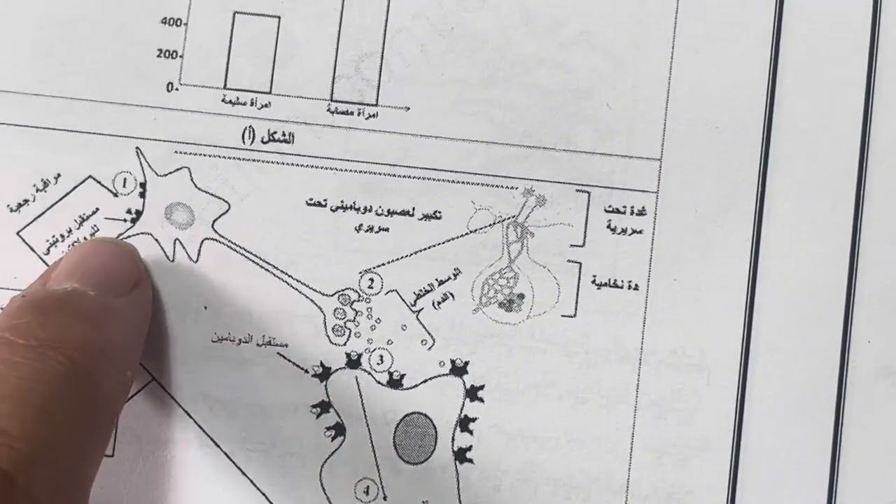 تمرين البرولاكتين علوم الطبيعة و الحياة بكالوريا