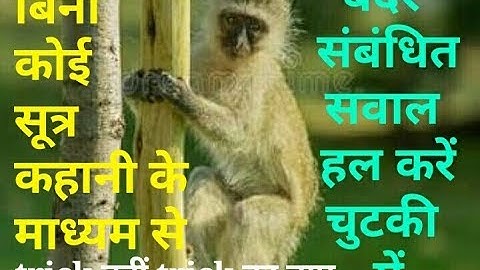 Monkey climbing sliping questions short trick !! बंदर पर आधारित प्रश्न !! LK Education 24