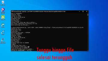 Cara Install Micro Python pada ESP8266 || Sistem Embedded