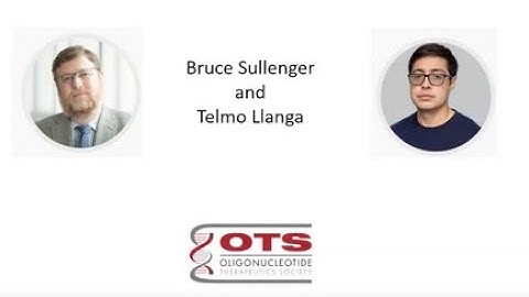 BLADE Directed Evolution of SaCas9 gRNAs Improves Gene Editing Efficiency