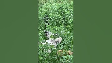 22 сентября 2025 г.