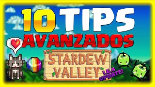 ✅ GUÍA de STARDEW VALLEY 1.6.4 Consejos para tus primeros años