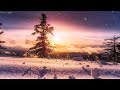 Peaceful Music, Relaxing Music, Instrumental Music, "Nature's Wonder" by Tim Janis