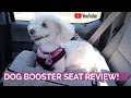 Reviewing a Booster Seat for Dogs!