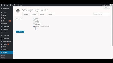 How To Select SiteOrigin Page Builder For Portfolio Post