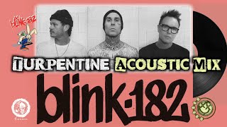 Blink 182 - Turpentine (Acoustic Mix)
