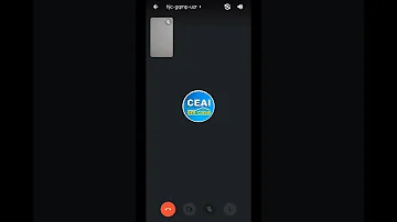 Como desligar o microfone no Google Meet?