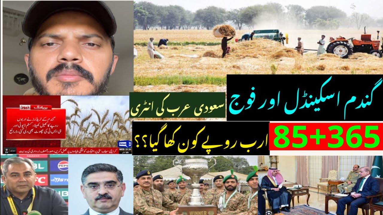 The Wheat Scandal That Destroyed Pakistan - YouTube