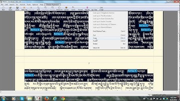 How to use the TibetDoc