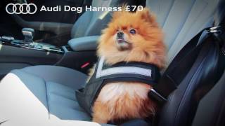 audi dog accessories
