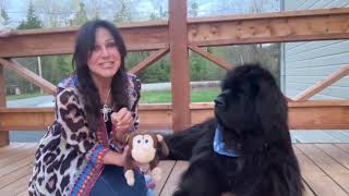 Newfoundland dog Phantom and mama name the subscriber that named his stuffy