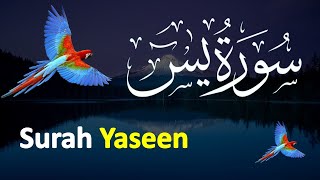 Surah Yasin ( Yaseen ) with Urdu Translation | Quran tilawat 5 | Quran with Urdu Hindi Translation