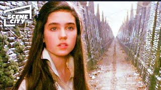 Jennifer Connelley's LABYRINTH Audition Video