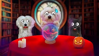 INVOCAMOS a HUGGY WUGGY pero ATACA a mi PERRO y a mi GATO !! 🎃😱 by Anima Dogs and Cats 28,037 views 6 months ago 6 minutes, 10 seconds