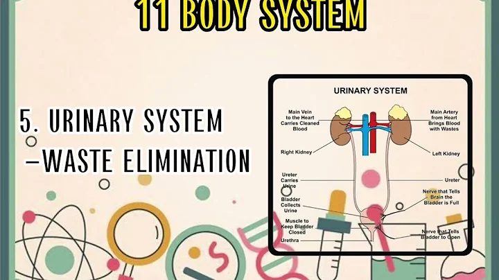 Synthesis Video About How Systems Work and its Rel...