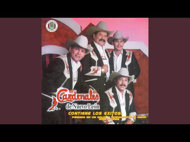 Cardenales De Nuevo Leon - Que Daria Yo