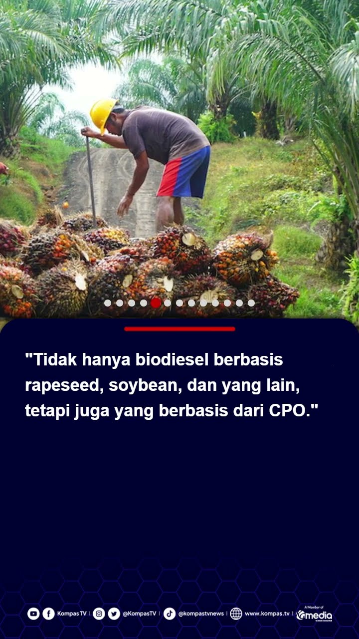 RI Menang di WTO, Uni Eropa Terbukti Diskriminasi terhadap Minyak Sawit Indonesia #sawit #unieropa