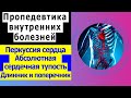 Пропедевтика внутренних болезней | Перкуссия сердца | Абсолютная сердечная тупость