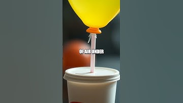 Breathe and Bloom The Balloon Hovercraft Experiment